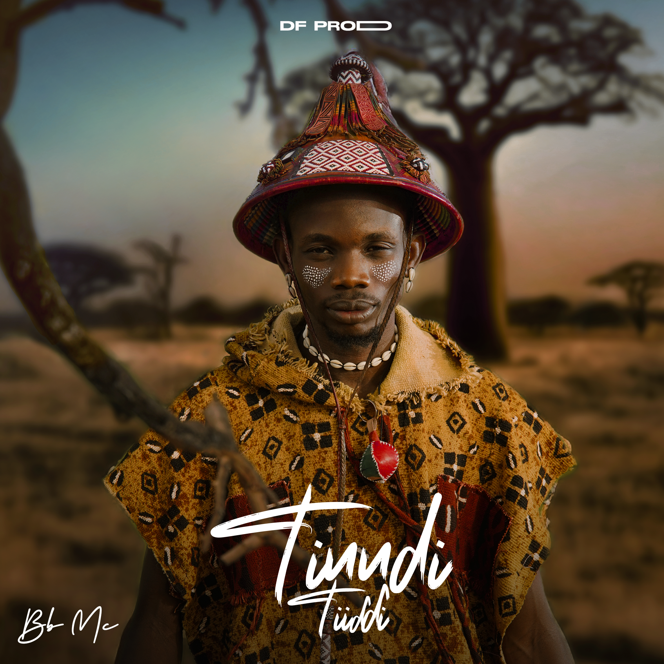 Album Tinndi Tiiɗɗi